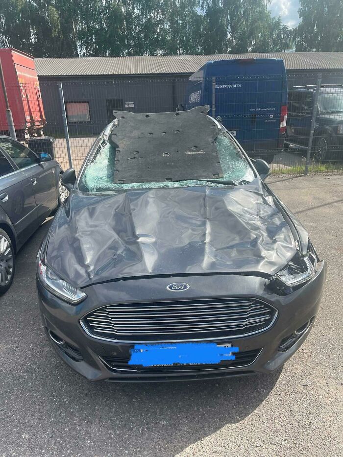 Result Of A Moose. 5 People In The Car And Only Driver Had A Scratched Elbow Due To Glass