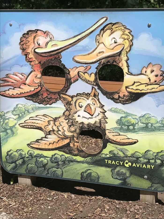 Face Cutouts At An Aviary