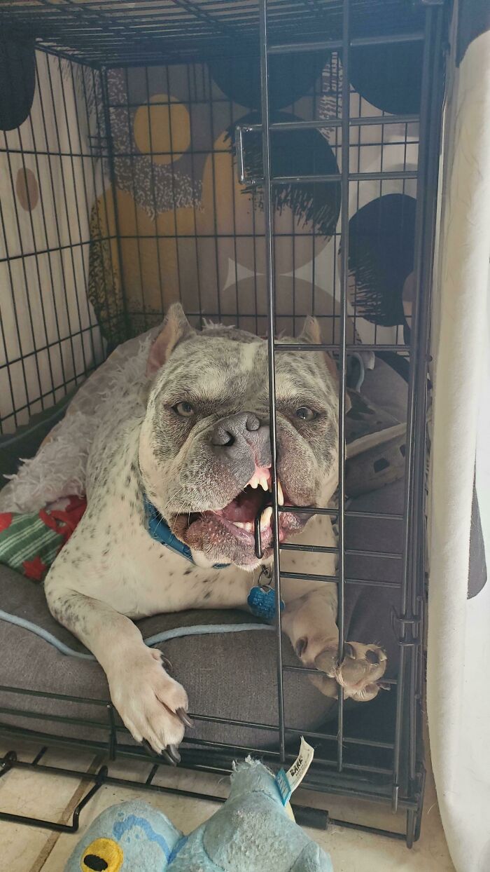 Waiting On My Laundry And Look Over To See This Dingus