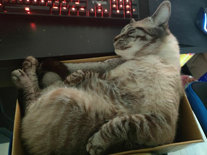 The Only Way I'm Ever Allowed To Do Some Gaming