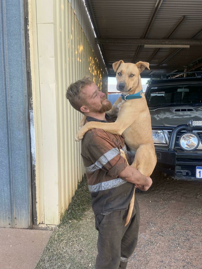 When Greg Isn’t Wearing A Box On His Head, He Insists On Being Held After Every Work Day