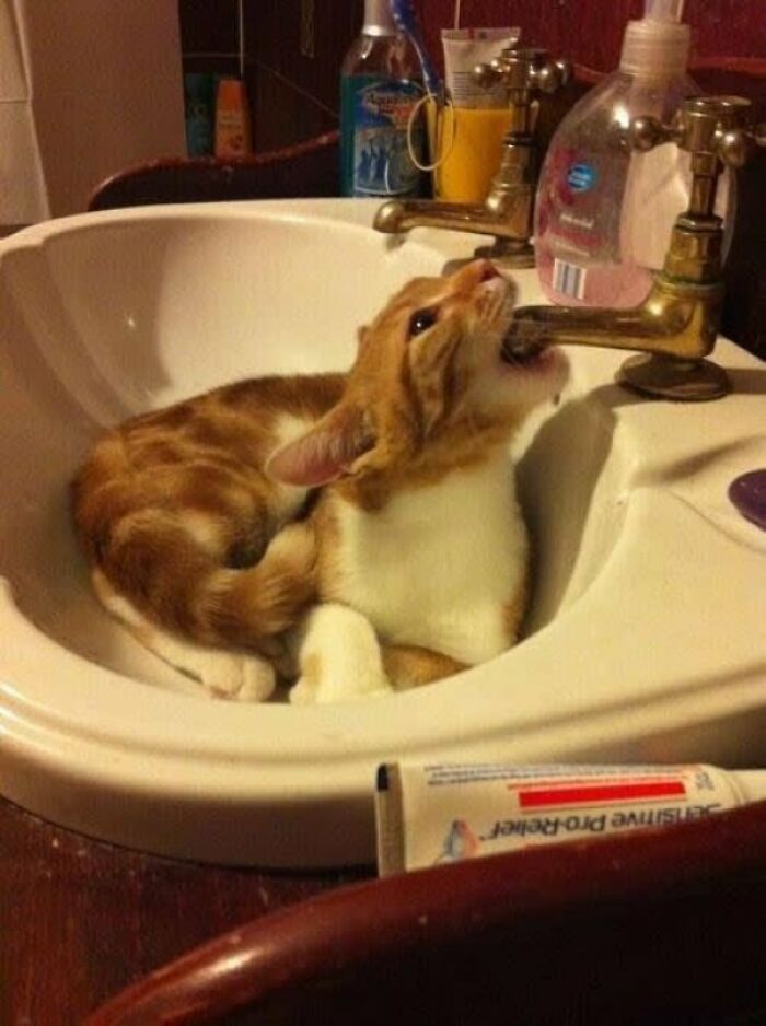 That's Not How You Drink Water-