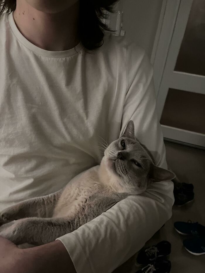 Smug That She’s Stolen My Boyfriend’s Affection