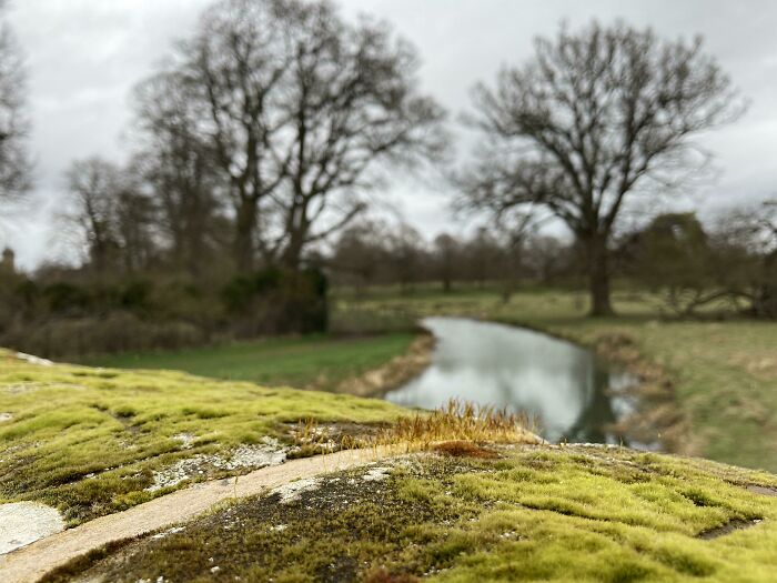 The Wall On The Bridge Looks Like Its Own Mini Landscape