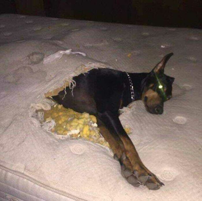 When You Spend The Night At A Friend's House And They Don't Give You A Blanket...