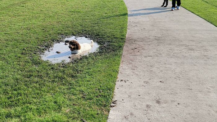 I Specifically Chose This Park Because There Is No Water Feature...