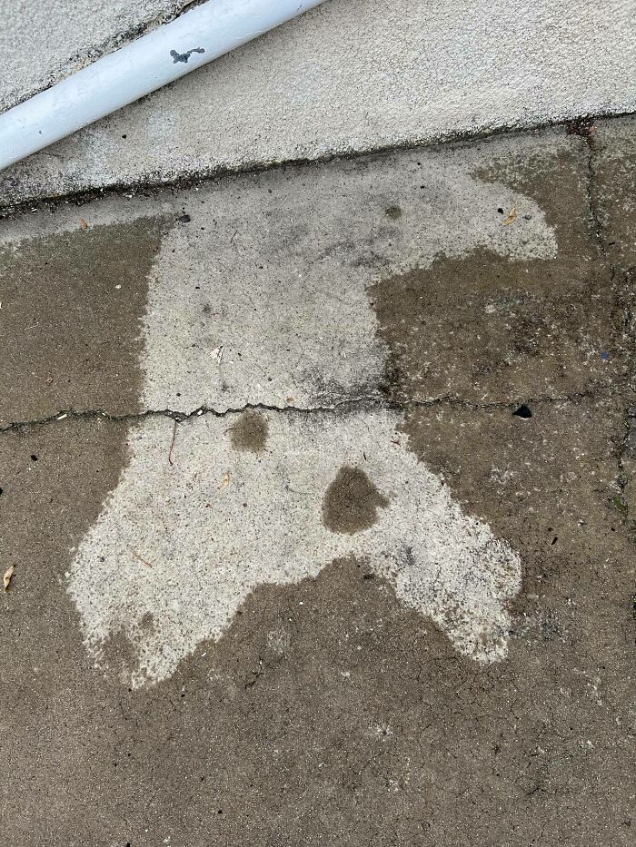 He Fell Asleep In The Rain Today