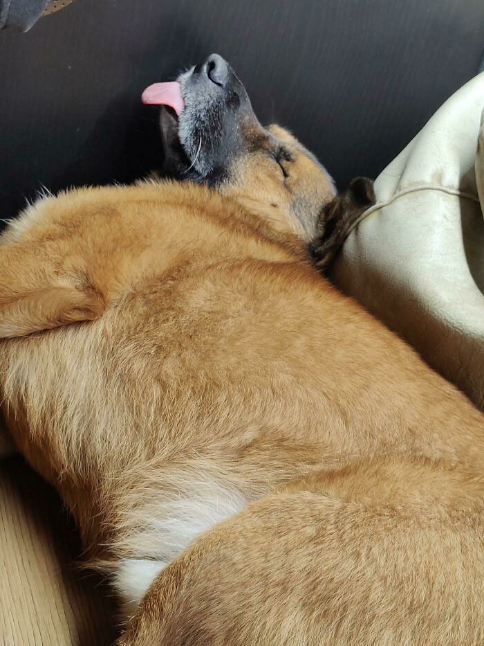 He Always Sleeps Like This.