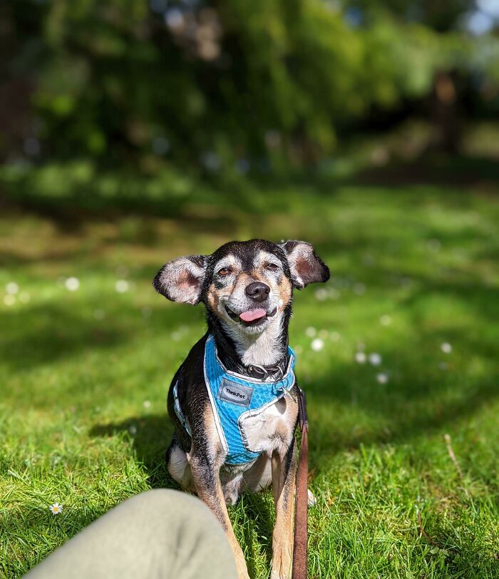 Caught This Doofus Mid Sneeze