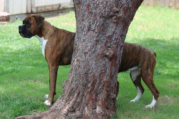 These Dorks Never Fail To Amuse...