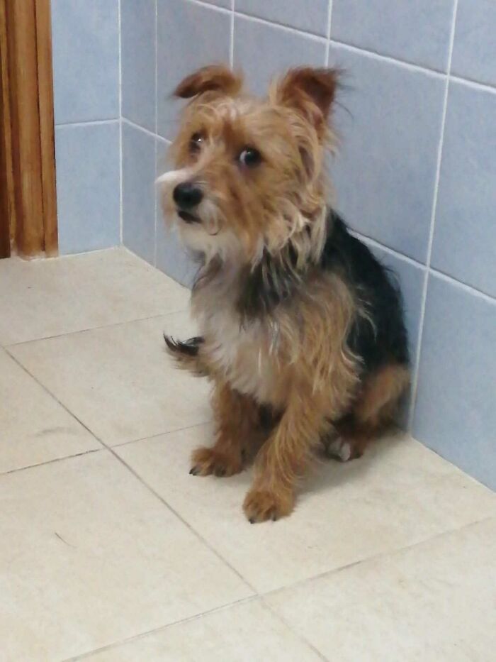 His Face When I Started Staring Back At Him