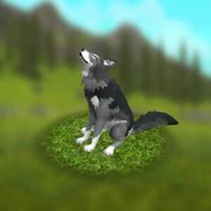 sylviaclifton99 avatar