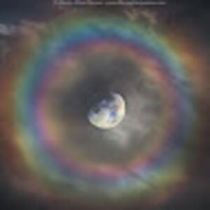 madilynne parsonsreid