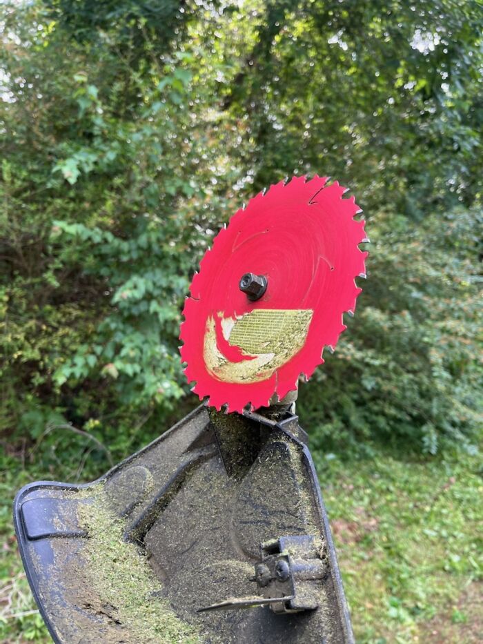 My Brother's Solution To Clearing Out Brush And Saplings Instead Of Renting A Brush Hog. That Man Makes Me Proud