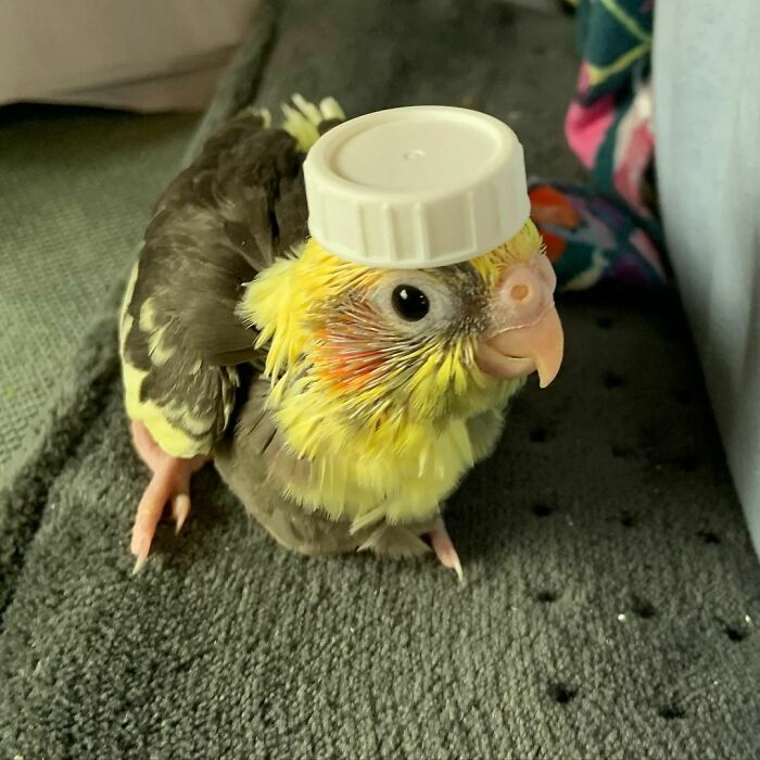 He's Broken Into The Armory