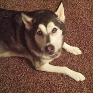 crystalhenry12 avatar