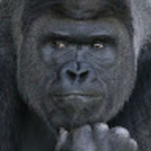 a_e_p_facethemuddyprofessor avatar