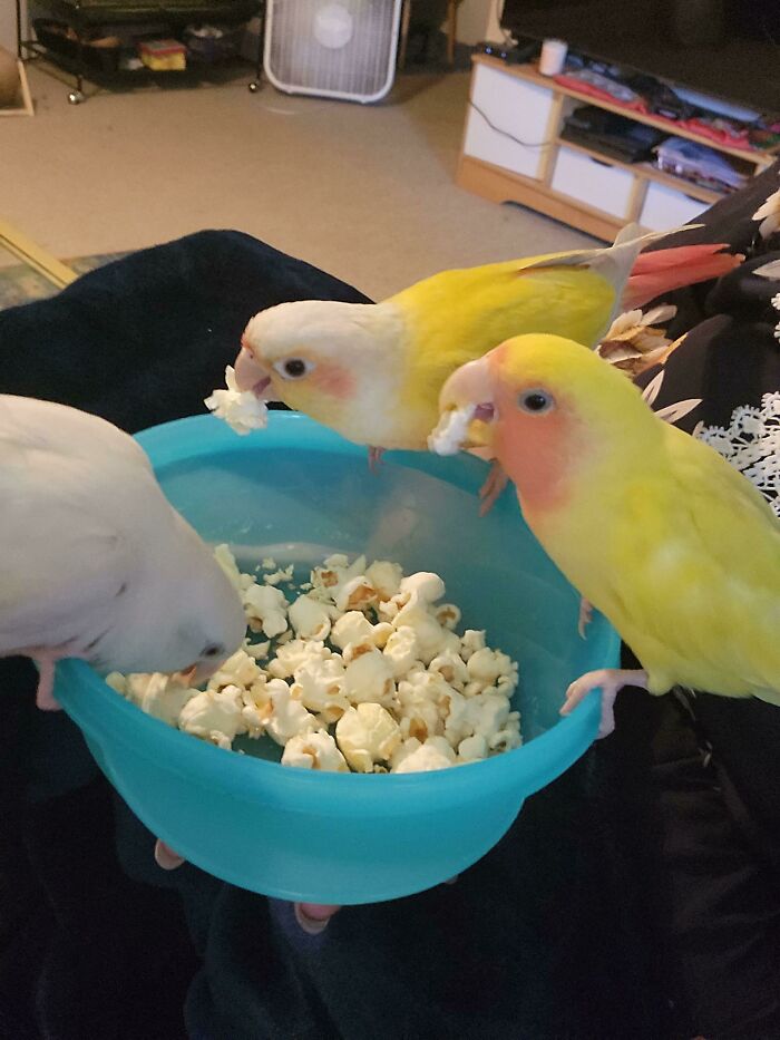 Gaggle Leader And His Minions Conducting A Heist