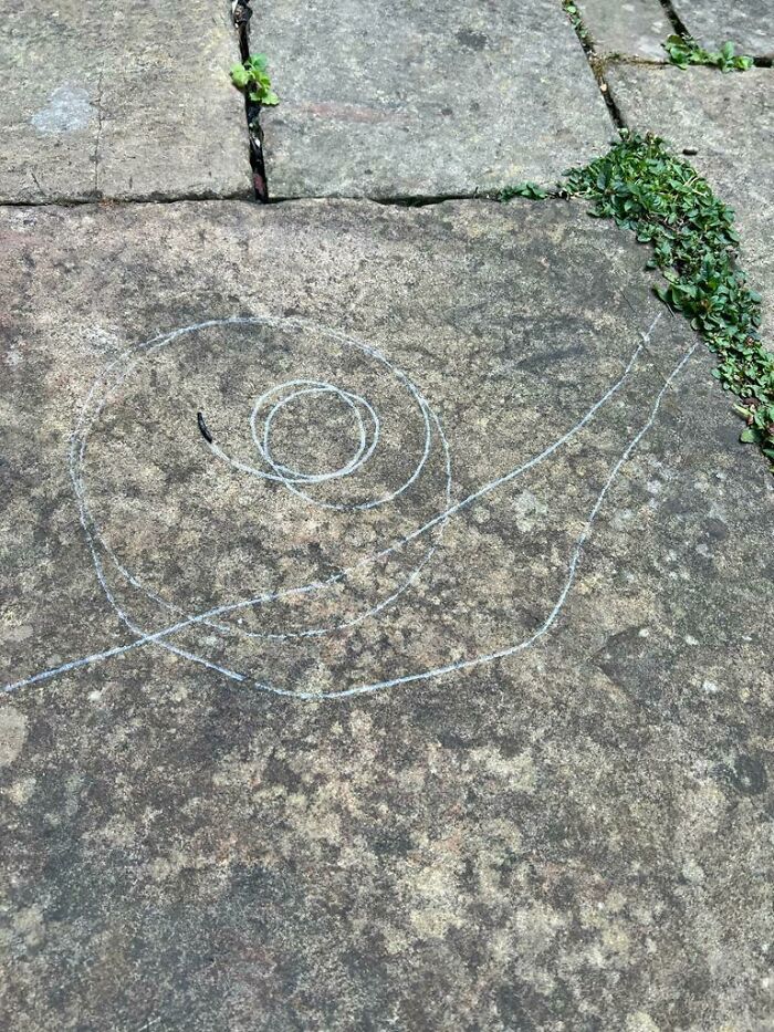 This Slug Drew A Snail