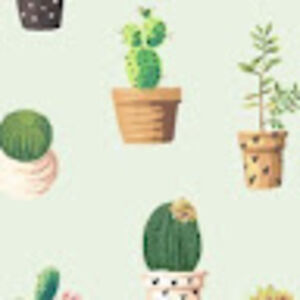 bookwormandowl avatar