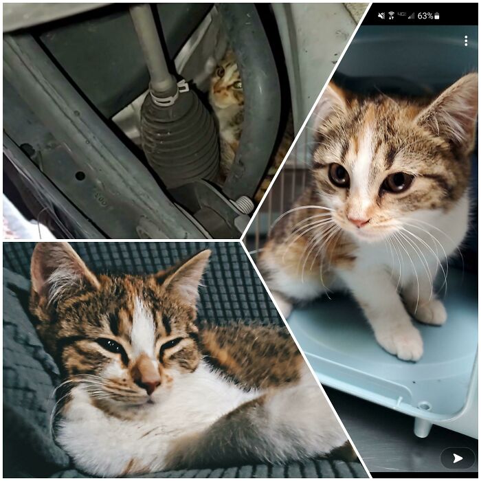 During Christmas, My Husband And I Pulled This Girl Out Of A Random Persons Car In A Parking Lot