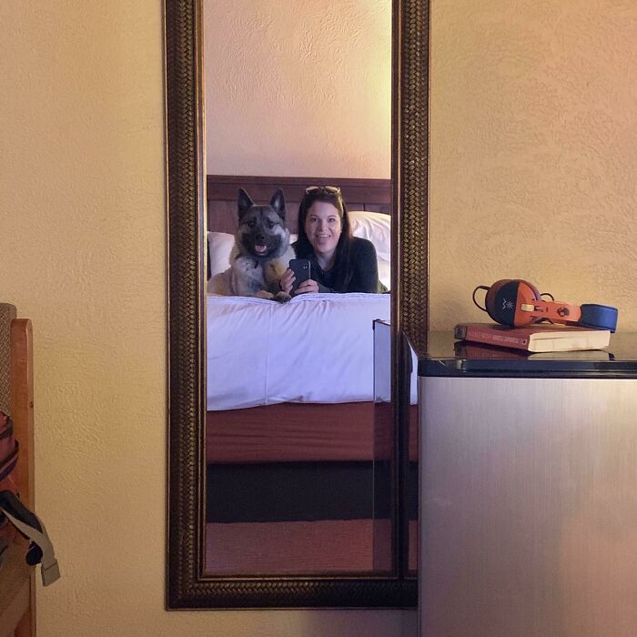 When The Hotel Is Pet Friendly