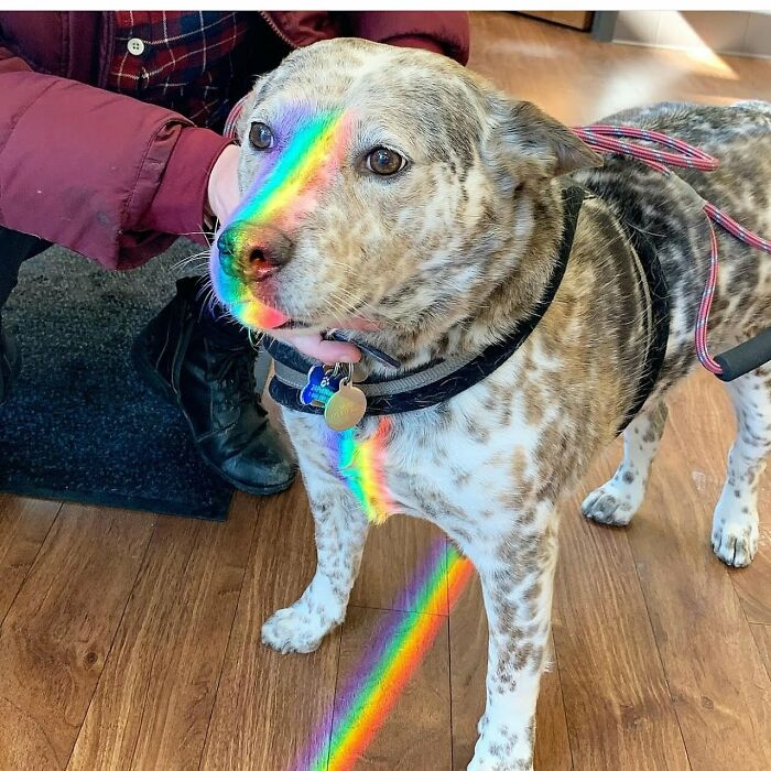 My Sweet Boy In A Rainbow