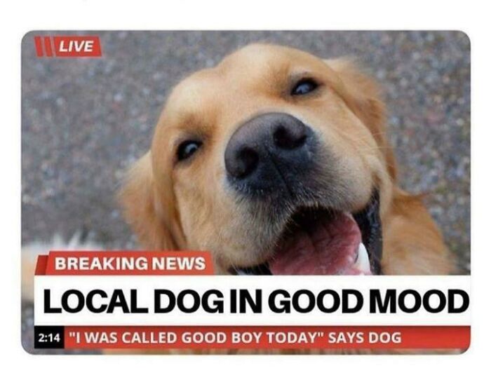 Some Good News