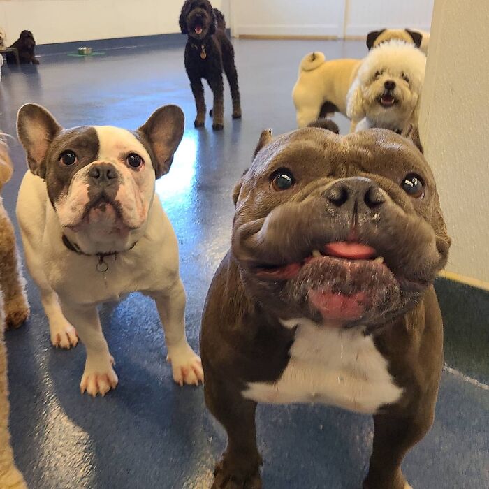 Nala Looking At You With Nothing But Love And Admiration Because You Are Perfect And Stunning