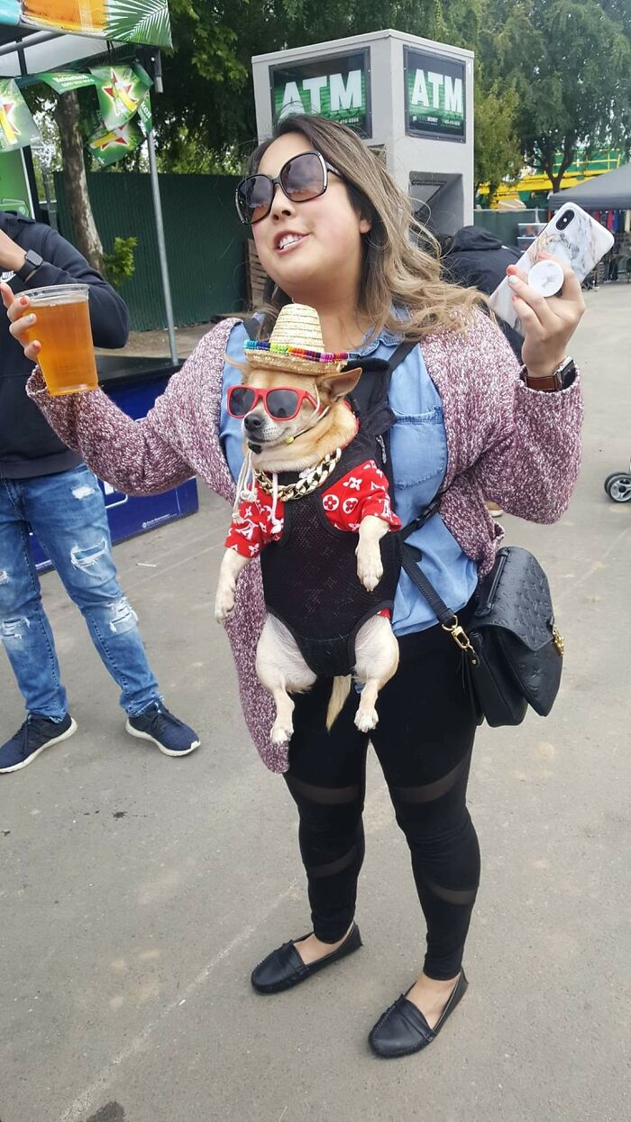 1 Year Ago Today I Drunkenly Stumbled Upon The Coolest Dog That Ever Lived