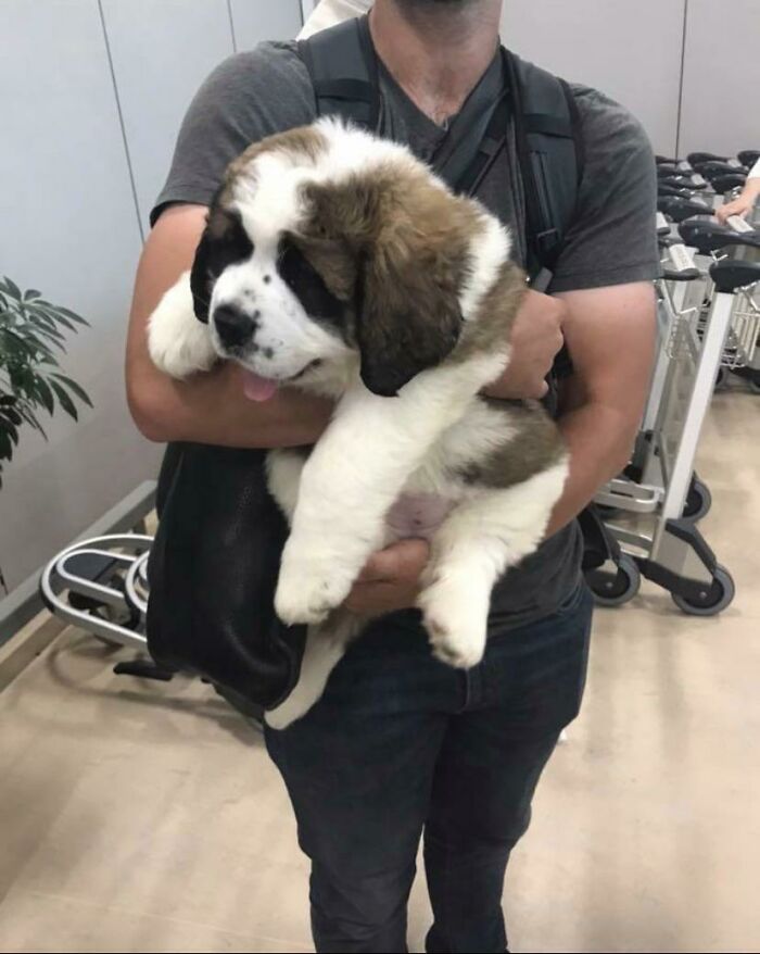 Her Name Is Moose Tracks, And You Have Been Blessed