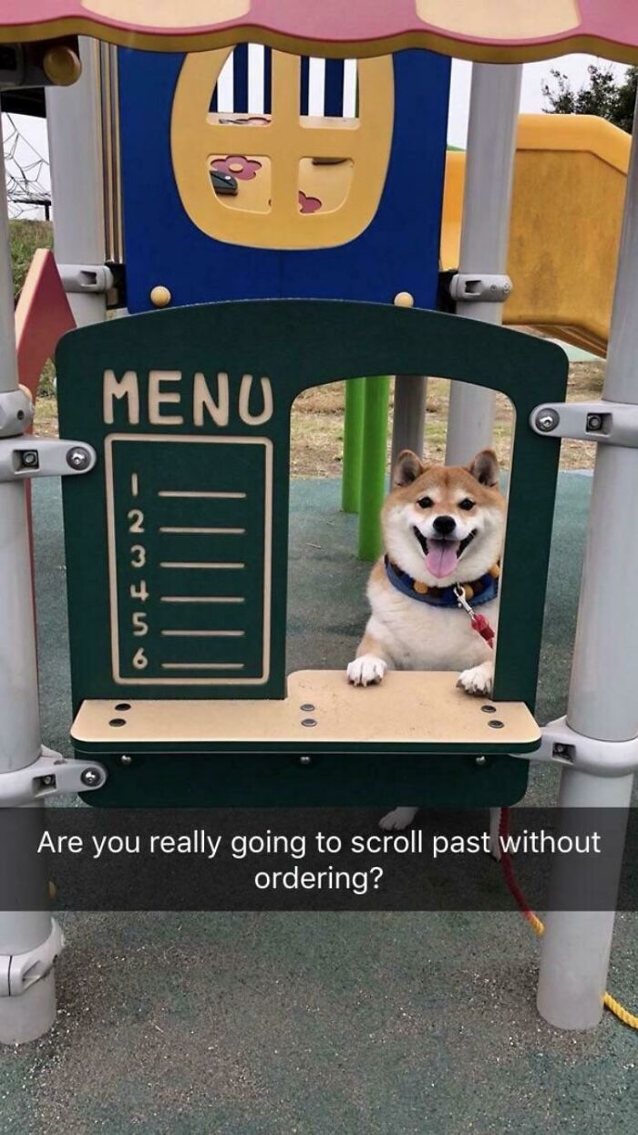 May I Have Uhhhhhhhhh