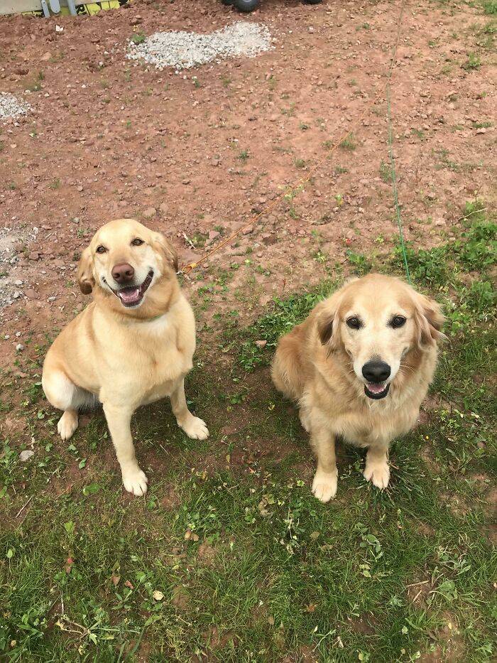 Our Air B&b Came With A Bonus Feature. Affectionately Dubbed “ The Golden Girls”