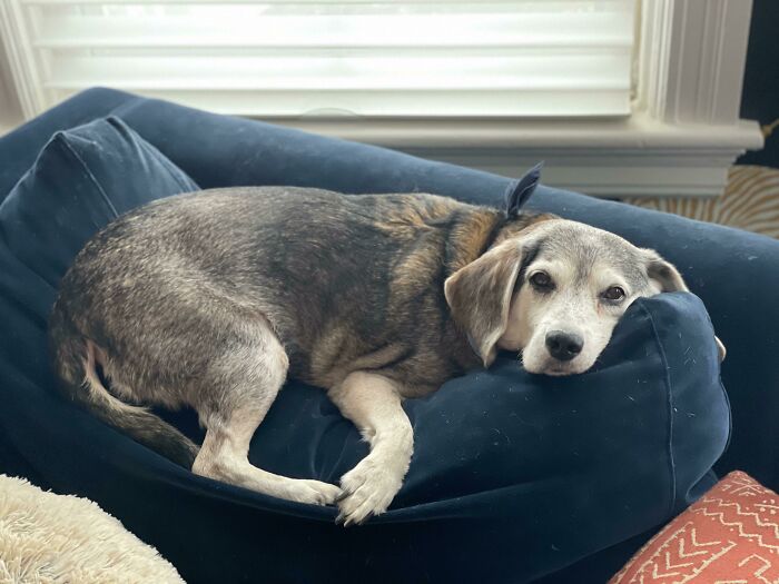 Going To Be 17 This Year. Rare To Me