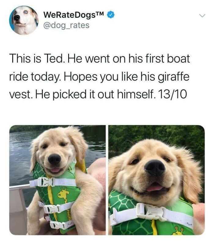 Stylish Boye Doin' A Heckin Boat Ride