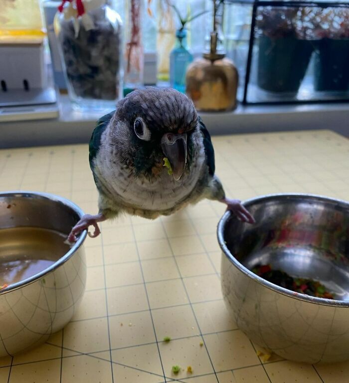 Working On Those Jean-Claude Van Damme Epic Splits