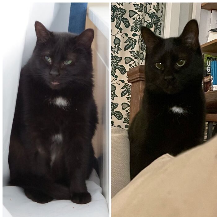 A Year Ago Today We Adopted This Adorable Little Lady, Look At Her Now!