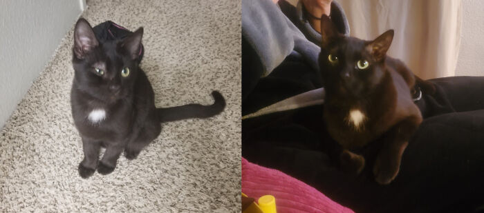 My Void, Echo. Ain't He Cute?