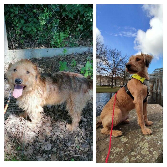 Panko After Almost 8 Months! 