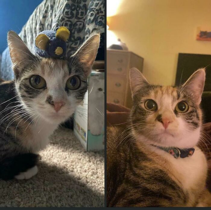 8 Months Of Healthy Chunk