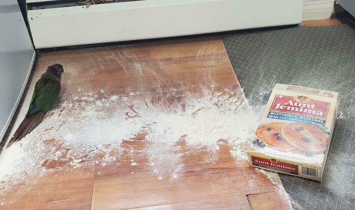 Roger Sucks At Cooking