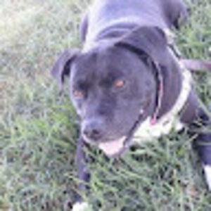 julsdemichele avatar