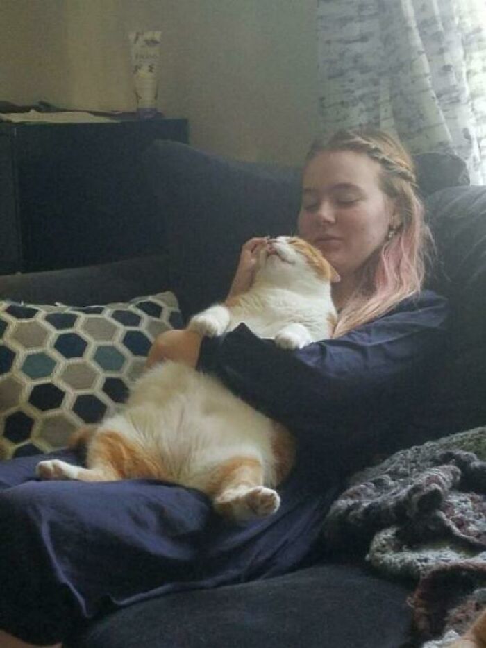 Seymour Fell Asleep On My Daughter After She Took Him For A Leash Walk. He Needs The Exercise