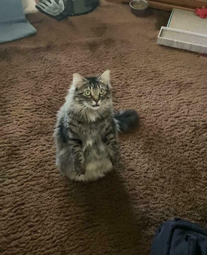 I Let Her Smell An Oreo