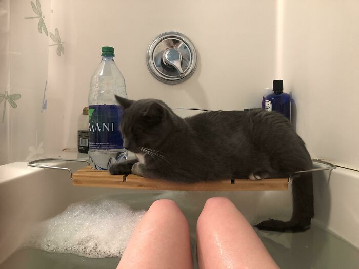 I Guess The Platform Belongs To Him Now