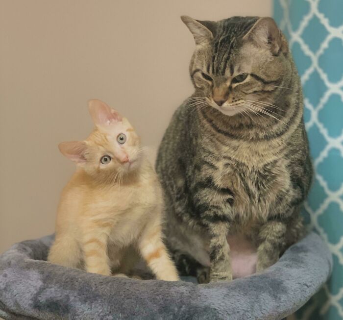 Guys Help He’s Been Stuck On A Loading Screen For 10 Minutes