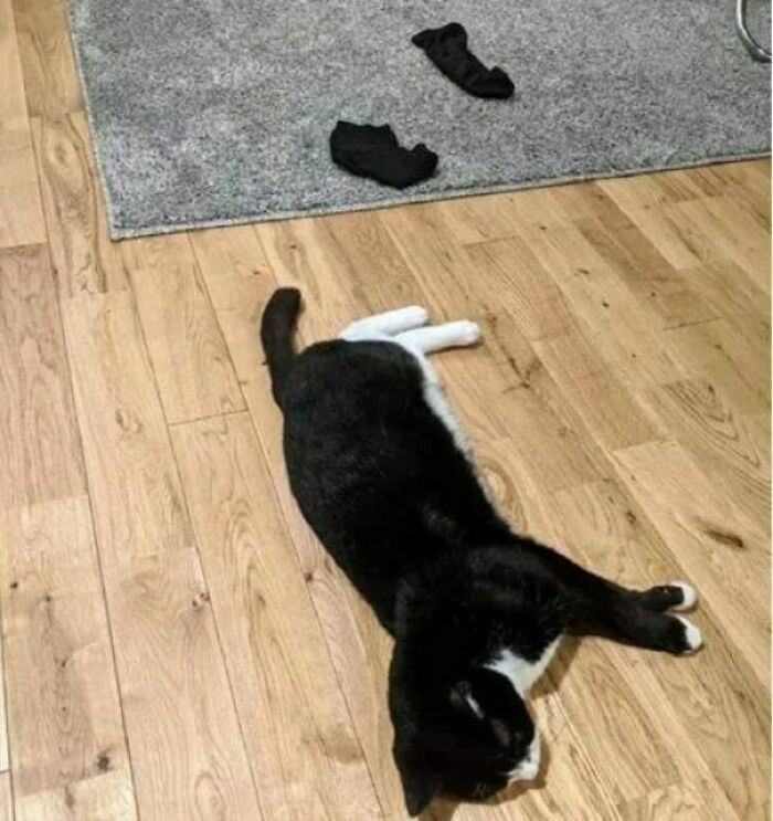 He Threw His Socks On The Floor Again