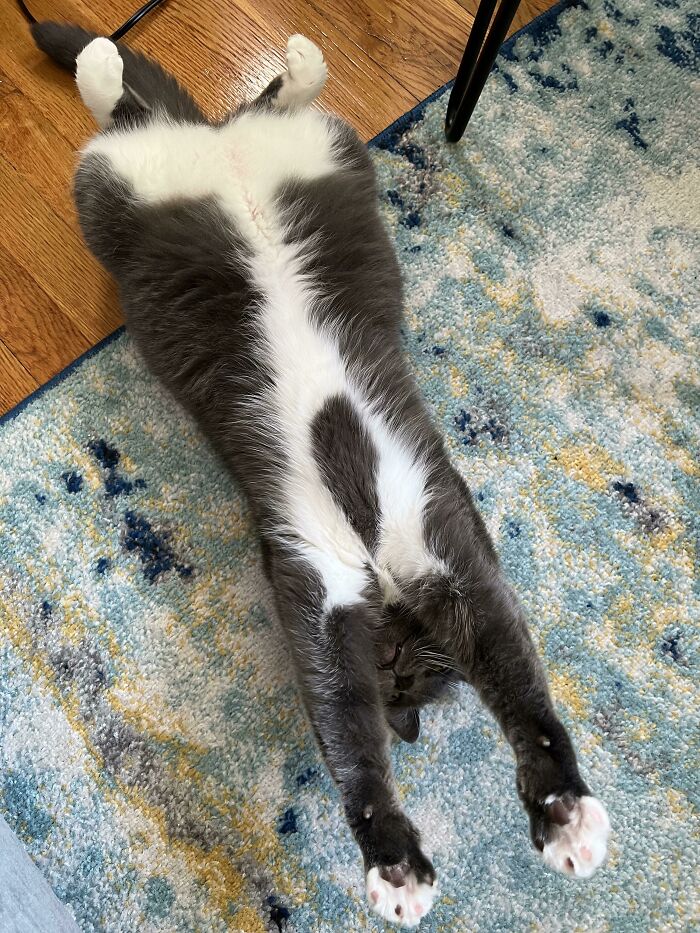 I Think The Batteries Died