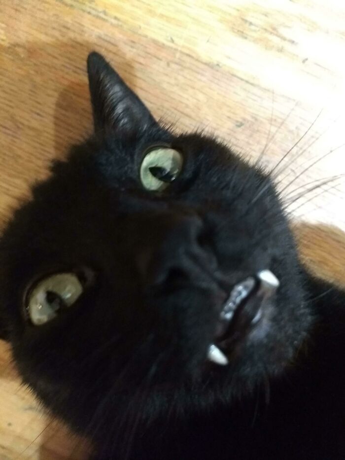 Look At This Man’s Teeth. His Name Is Alex