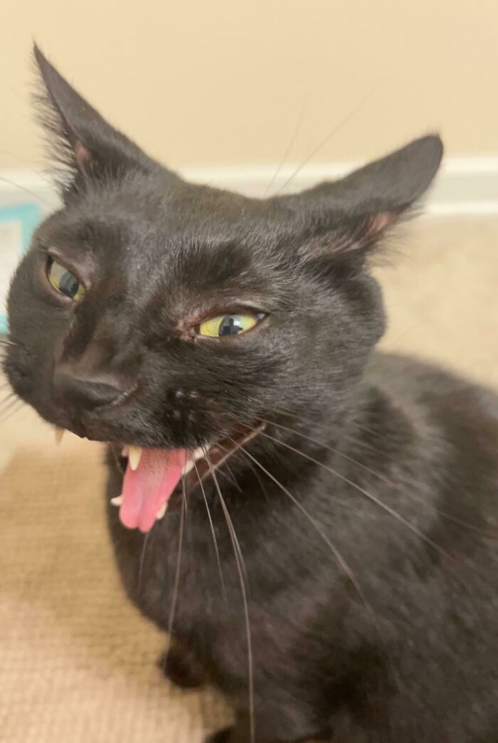 He Likes To Watch Me While I Poo